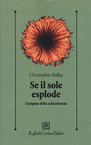 Se il sole esplode. L'enigma della schizofrenia (Psicologia clinica e psicoterapia) von Cortina Raffaello