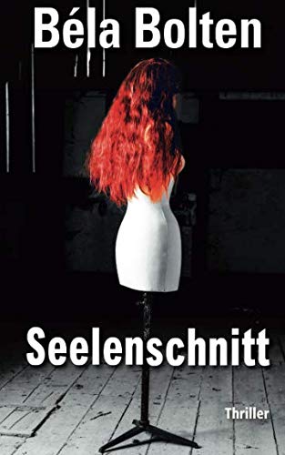 Seelenschnitt (Cold Cases, Band 2) von CreateSpace Independent Publishing Platform