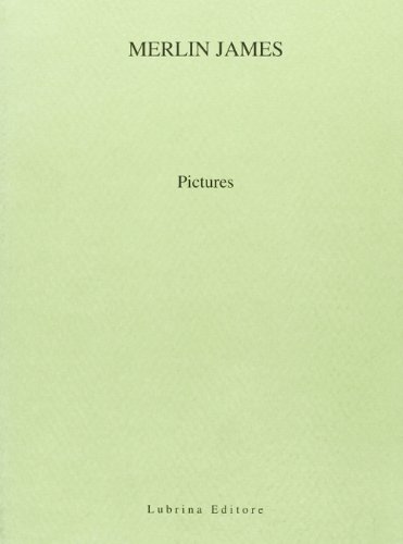 Merlin James. Pictures (Arte moderna e contemporanea) von Lubrina Bramani Editore