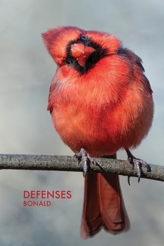 Defenses (Wmlc Pamphlets, Band 4) von West Martian Limited Company