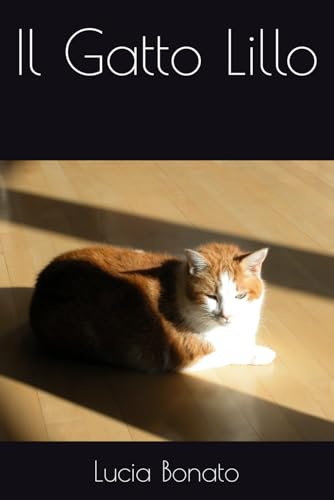 Il Gatto Lillo von Independently published
