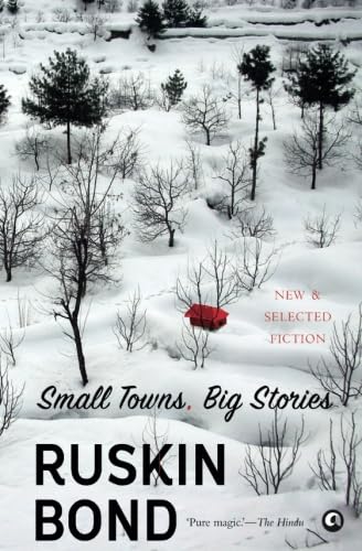 Small Towns, Big Stories von Aleph Book Company
