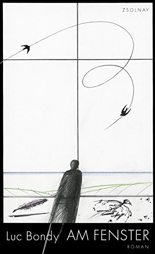 Am Fenster: Roman von Paul Zsolnay Verlag