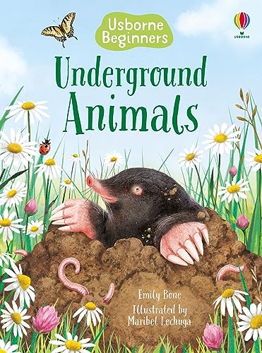 Animals Under the Ground (Beginners): 1 von Usborne Publishing Ltd
