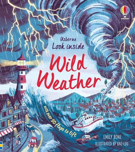 Look Inside Wild Weather: 1 von Usborne