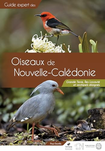 Guide des Oiseaux de Nouvelle-Calédonie: Grande Terre, Îles Loyauté et archipels éloignés von BIOTOPE