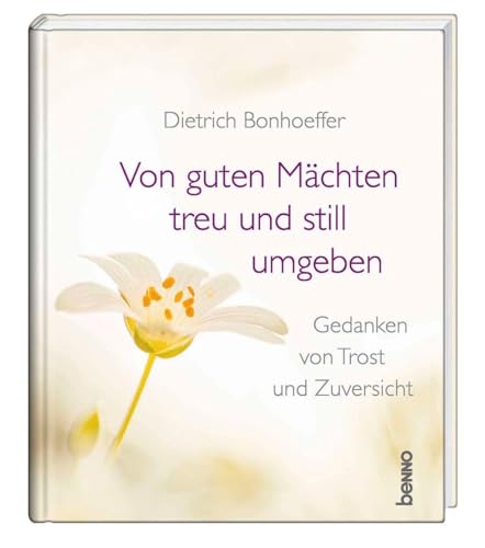 Von guten Mächten treu und still umgeben: Gedanken von Trost & Zuversicht