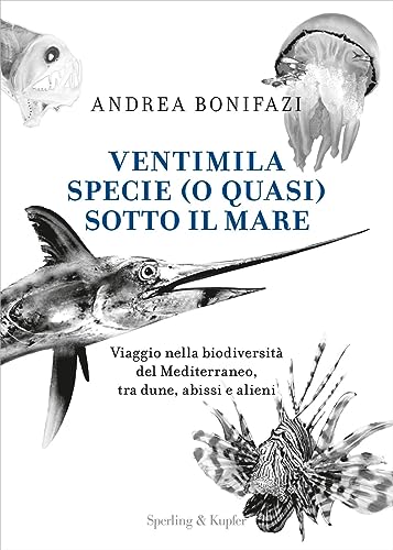 Ventimila specie (o quasi) sotto il mare. Viaggio nella biodiversità del Mediterraneo, tra dune, abissi e alieni (Varia) von Sperling & Kupfer