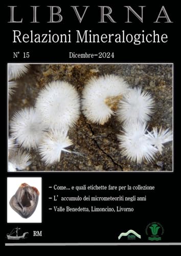 Relazioni mineralogiche. Libvrna (Vol. 15) von Youcanprint