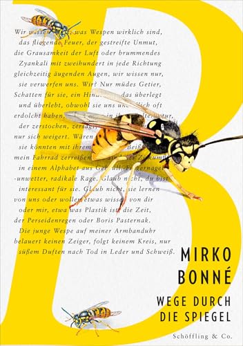 Wege durch die Spiegel: Gedichte von Schöffling
