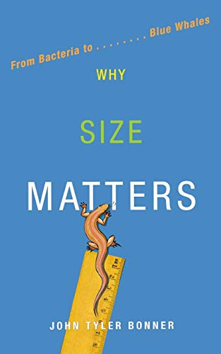 Why Size MATTErs: From Bacteria to Blue Whales von Princeton University Press