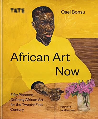 African Art Now: Fifty pioneers defining African art for the twenty-first century von Ilex Press