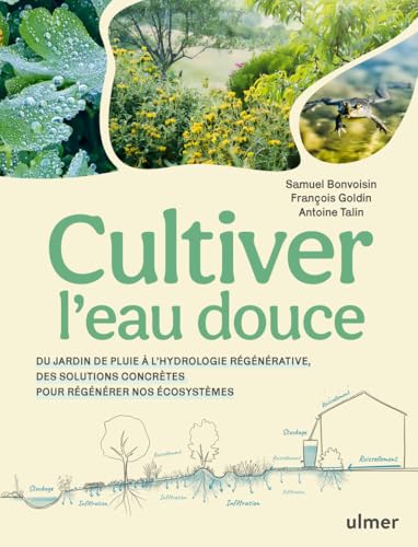 Cultiver l'eau douce - Du jardin de pluie à l'hydrologie régénérative, des solutions concrètes pour régénérer nos écosystèmes von ULMER