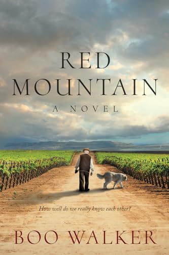 Red Mountain: A Novel (Red Mountain Chronicles, Band 1) von Sandy Run Press