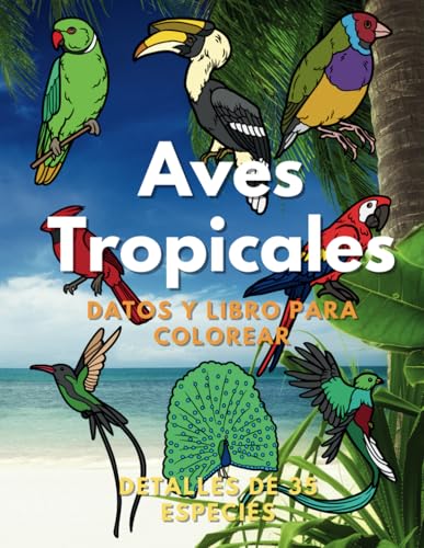Aves Tropicales: Datos y Libro para Colorear: para niños de 2 a 16 años Aves Tropicales: Datos y Libro para Colorear: para niños de 2 a 16 años von Independently published