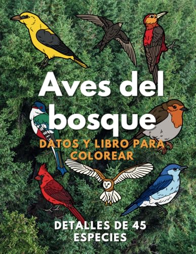 Aves del bosque: datos y libro para colorear: para niños de 2 a 16 años Aves del bosque: datos y libro para colorear: para niños de 2 a 16 años von Independently published