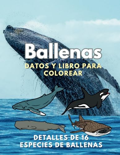 Ballenas: Datos y libro para colorear: para niños de 2 a 16 años Ballenas: Datos y libro para colorear: para niños de 2 a 16 años von Independently published
