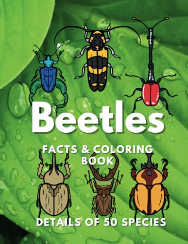 Beetles: Facts & Coloring Book: Activity Book for Children Aged 2 to 16 Years (Animal Facts and Coloring) von Independently published
