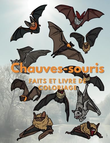 Chauves-souris : faits et livre de coloriage: Cahier d'activités de coloriage pour les enfants de 2 à 16 ans (Faits sur les animaux et coloration, Band 23) Chauves-souris : faits et livre de coloriage: Cahier d'activités de coloriage pour les enfants de 2 à 16 ans (Faits sur les animaux et coloration, Band 23) von Independently published