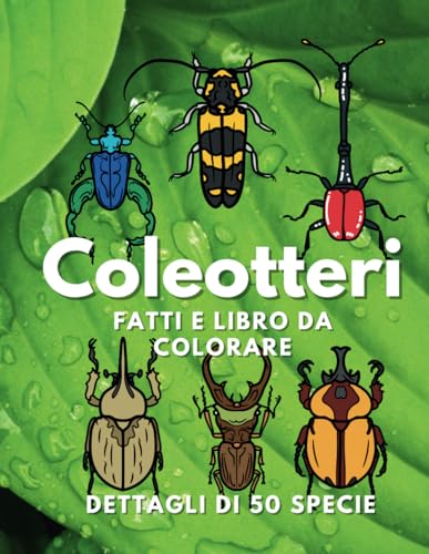 Coleotteri: fatti e libro da colorare: Libro di attività per bambini dai 2 ai 16 anni (Fatti sugli animali e colorazione) von Independently published