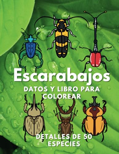 Escarabajos: datos y libro para colorear: Libro de actividades para niños de 2 a 16 años Escarabajos: datos y libro para colorear: Libro de actividades para niños de 2 a 16 años von Independently published