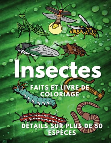 Insectes : faits et livre de coloriage: Cahier d'activités pour les enfants de 2 à 16 ans (Faits sur les animaux et coloration, Band 2) Insectes : faits et livre de coloriage: Cahier d'activités pour les enfants de 2 à 16 ans (Faits sur les animaux et coloration, Band 2) von Independently published