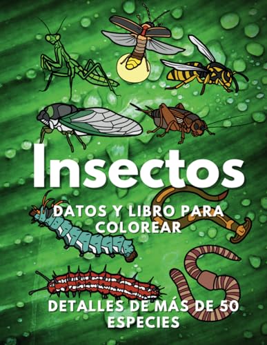Insectos: Datos y libro para colorear: Libro de actividades para niños de 2 a 16 años Insectos: Datos y libro para colorear: Libro de actividades para niños de 2 a 16 años von Independently published
