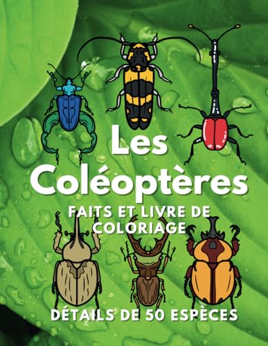Les Coléoptères : Faits et livre de coloriage: Cahier d'activités pour les enfants de 2 à 16 ans (Faits sur les animaux et coloration, Band 1) Les Coléoptères : Faits et livre de coloriage: Cahier d'activités pour les enfants de 2 à 16 ans (Faits sur les animaux et coloration, Band 1) von Independently published
