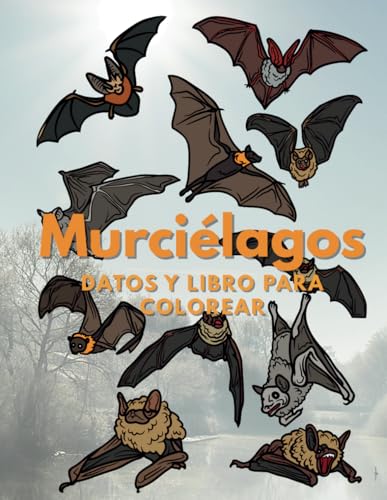 Murciélagos: Datos y libro para colorear: Libro de actividades para colorear para niños de 2 a 16 años Murciélagos: Datos y libro para colorear: Libro de actividades para colorear para niños de 2 a 16 años von Independently published