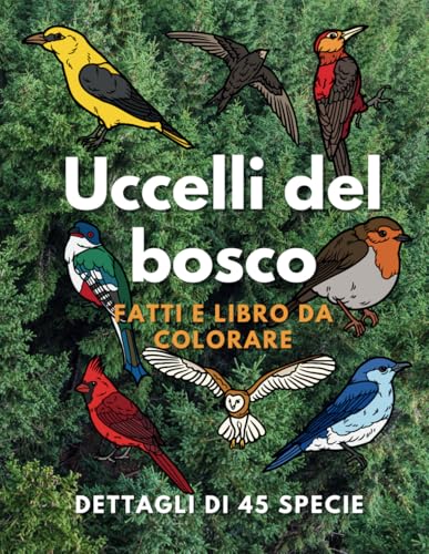 Uccelli dei boschi: fatti e libro da colorare: per bambini dai 2 ai 16 anni (Fatti sugli animali e colorazione) Uccelli dei boschi: fatti e libro da colorare: per bambini dai 2 ai 16 anni (Fatti sugli animali e colorazione) von Independently published