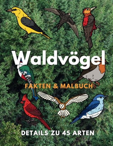 Waldvögel: Fakten & Malbuch: für Kinder von 2 bis 16 Jahren (Tierfakten und Malbücher) Waldvögel: Fakten & Malbuch: für Kinder von 2 bis 16 Jahren (Tierfakten und Malbücher) von Independently published