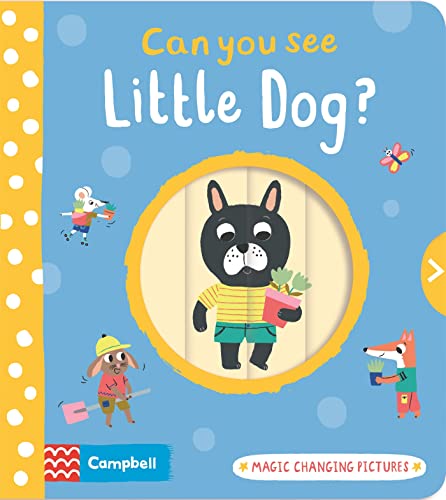 Can You See Little Dog?: Magic changing pictures von Campbell Books