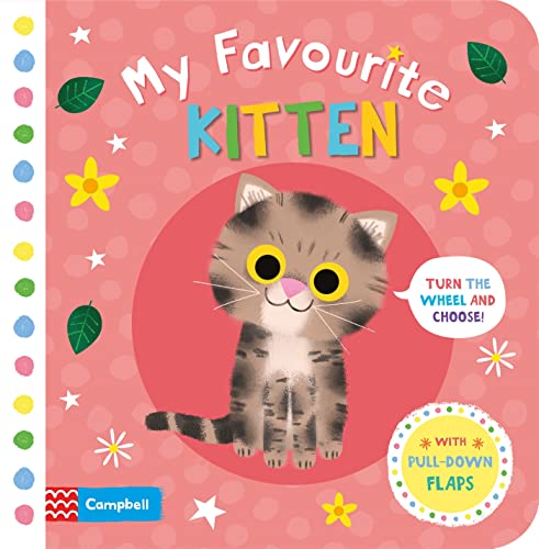 My Favourite Kitten My Favourite Kitten