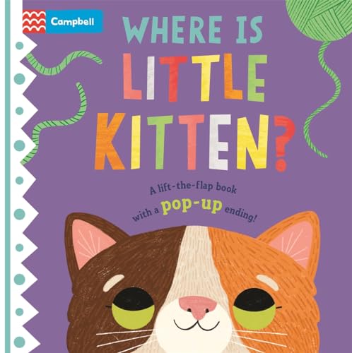 Where is Little Kitten?: The lift-the-flap book with a pop-up ending! (Where is Little..., 3)