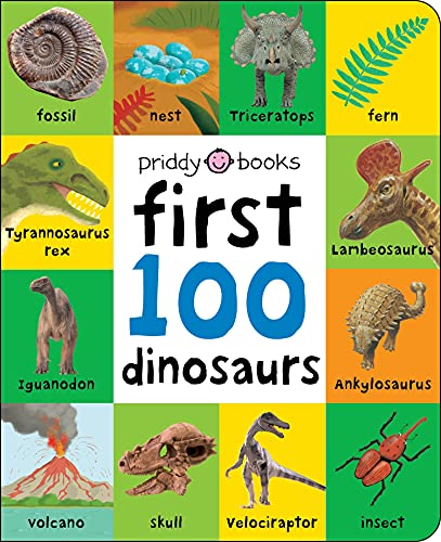 First 100 Dinosaurs (First 100 Soft To Touch)