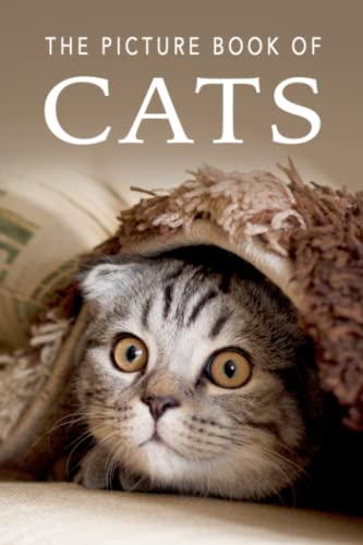 The Picture Book of Cats: A Gift Book for Alzheimer's Patients and Seniors with Dementia (Picture Books - Animals, Band 7) von Independently Published