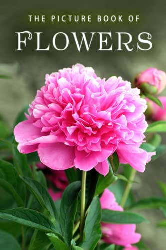The Picture Book of Flowers: A Gift Book for Alzheimer's Patients and Seniors with Dementia (Picture Books - Nature, Band 10) von Independently Published