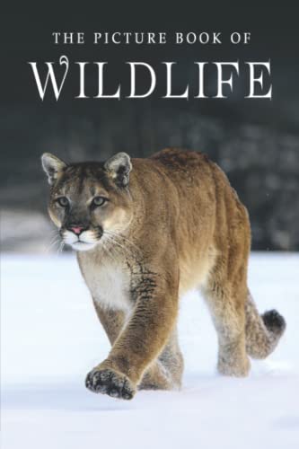 The Picture Book of Wildlife: A Gift Book for Alzheimer's Patients and Seniors with Dementia (Picture Books - Animals, Band 29) von Independently Published