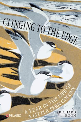 Clinging to the Edge: A Year in the Life of a Little Tern Colony von Pelagic Publishing Ltd