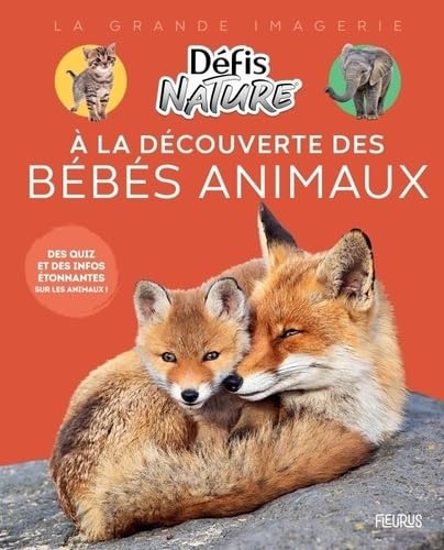 À la découverte des bébés animaux: Des quiz et des infos étonnantes sur les animaux ! von FLEURUS