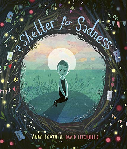 A Shelter for Sadness von Templar Publishing