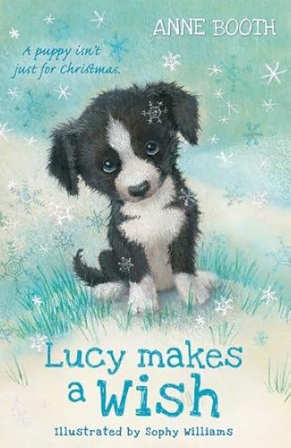 Lucy Makes a Wish von OXFORD UNIVERSITY PRESS