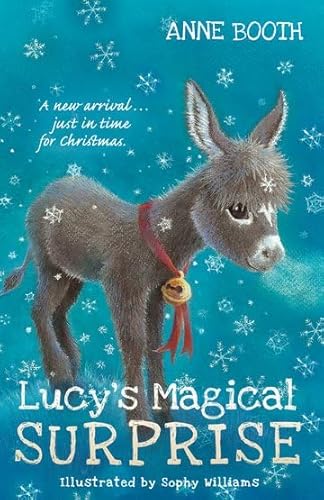 Lucy's Magical Surprise von Oxford Childrens Books