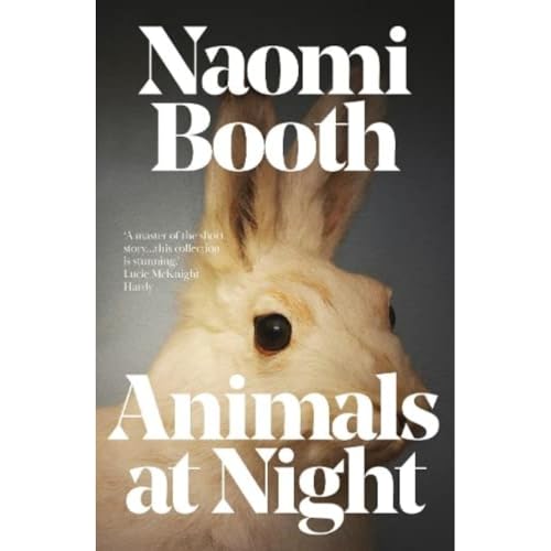 Animals at Night