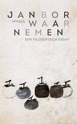 Waarnemen: een filosofisch essay