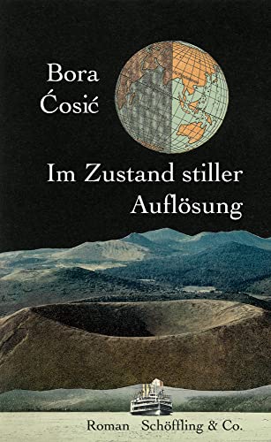 Im Zustand stiller Auflösung: Roman