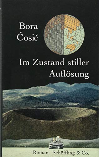 Im Zustand stiller Auflösung: Roman