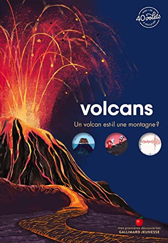 Volcans: Un volcan est-il une montagne ? von GALLIMARD JEUNE