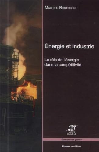 Énergie et industrie: Le rôle de l'énergie dans la compétitivité. Énergie et industrie: Le rôle de l'énergie dans la compétitivité. von ECOLE DES MINES