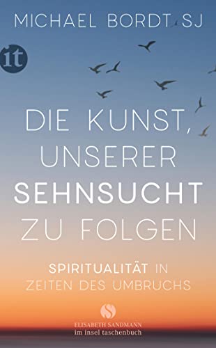 Die Kunst, unserer Sehnsucht zu folgen: Spiritualität in Zeiten des Umbruchs (Elisabeth Sandmann im insel taschenbuch)